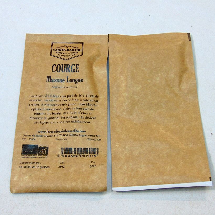 Beispiel eines Exemplars von Flaschenkürbis Massue longue die Tüte mit 15 Samen ungefähr (3g) wie geliefert