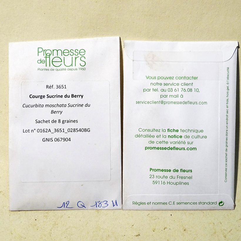 Beispiel eines Exemplars von Moschus-Kürbis Sucrine du Berry die Tüte mit 8 Samen ungefähr wie geliefert