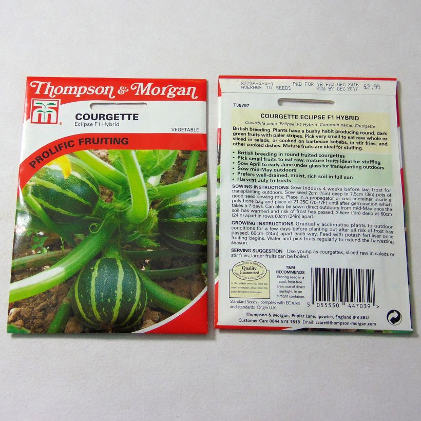 Beispiel eines Exemplars von Garten-Kürbis Eclipse F1 die Tüte mit 10 Samen ungefähr wie geliefert