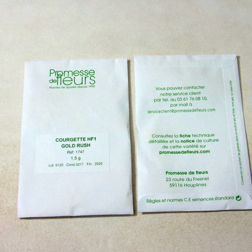 Beispiel eines Exemplars von Garten-Kürbis Gold Rush die Tüte mit 10 Samen ungefähr (1,5g) wie geliefert