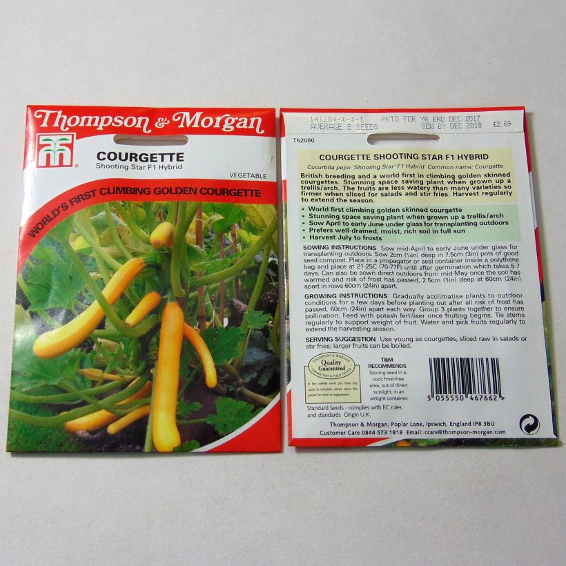 Beispiel eines Exemplars von Garten-Kürbis Shooting Star F1 die Tüte mit 8 Samen ungefähr wie geliefert