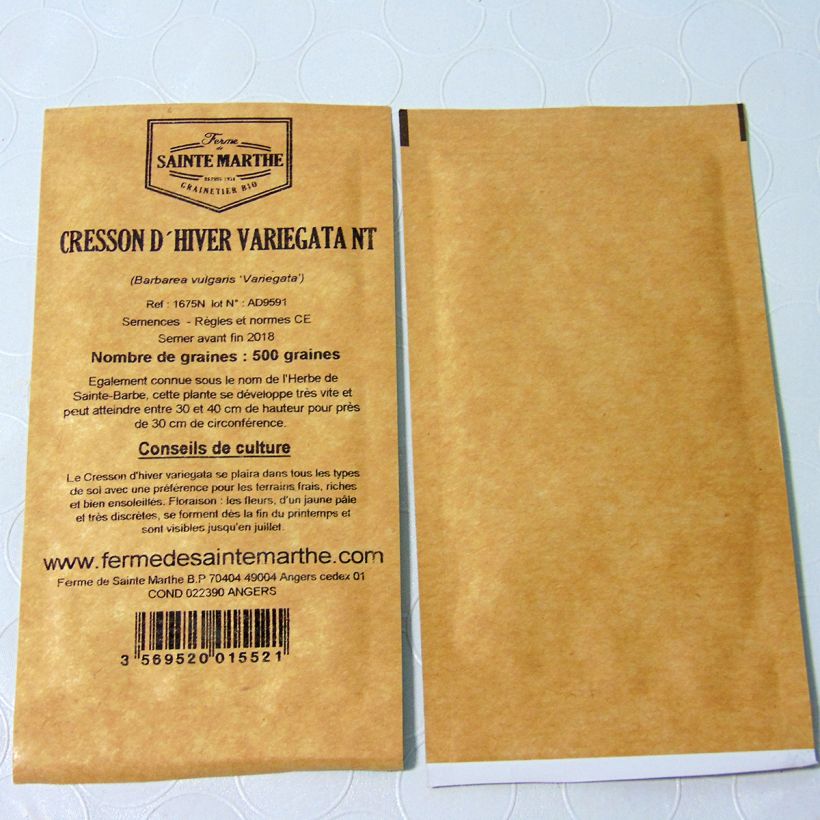 Example of Gemeines Barbarakraut Variegata - Barbarea vulgaris die Tüte mit 500 Samen ungefähr as you get