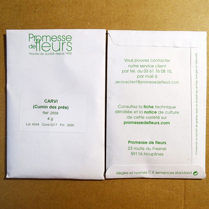 Beispiel eines Exemplars von Echter Kümmel - Carum carvi (Samen) die Tüte mit 1250 Samen ungefähr (4g) wie geliefert