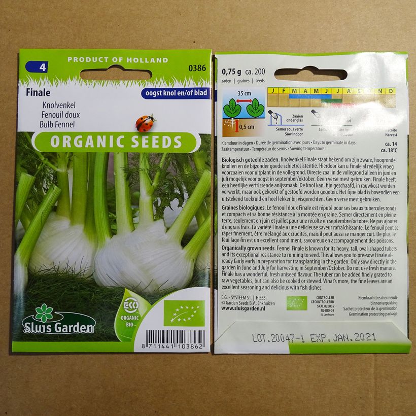 Beispiel eines Exemplars von Fenchel Finale die Tüte mit 250 Samen ungefähr (1g) wie geliefert