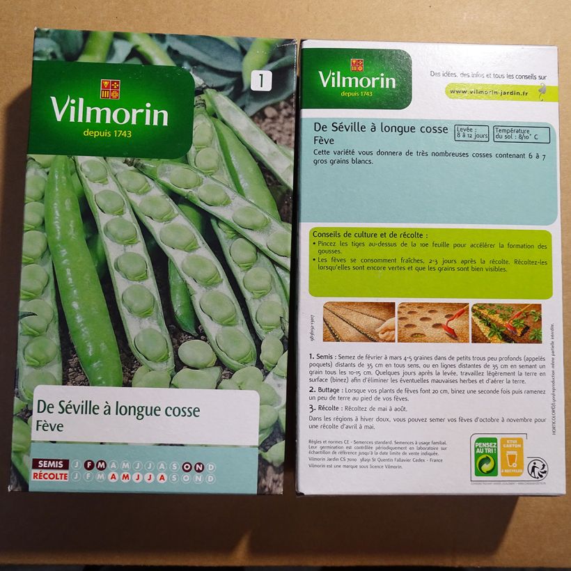 Beispiel eines Exemplars von Ackerbohne de Séville à Longue cosse - Vilmorin die Tüte mit 125 Samen ungefähr (250g) wie geliefert