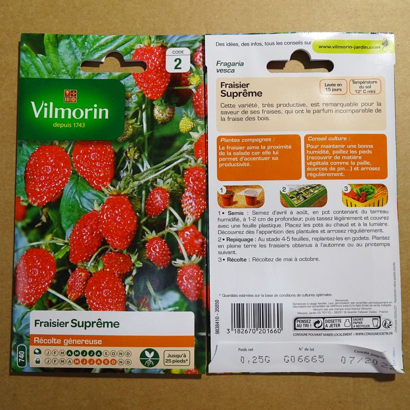 Beispiel eines Exemplars von Fragaria vesca 4 saisons suprême - Vilmorin - Wald-Erdbeere die Tüte mit Samen von 0.25 Gramm wie geliefert