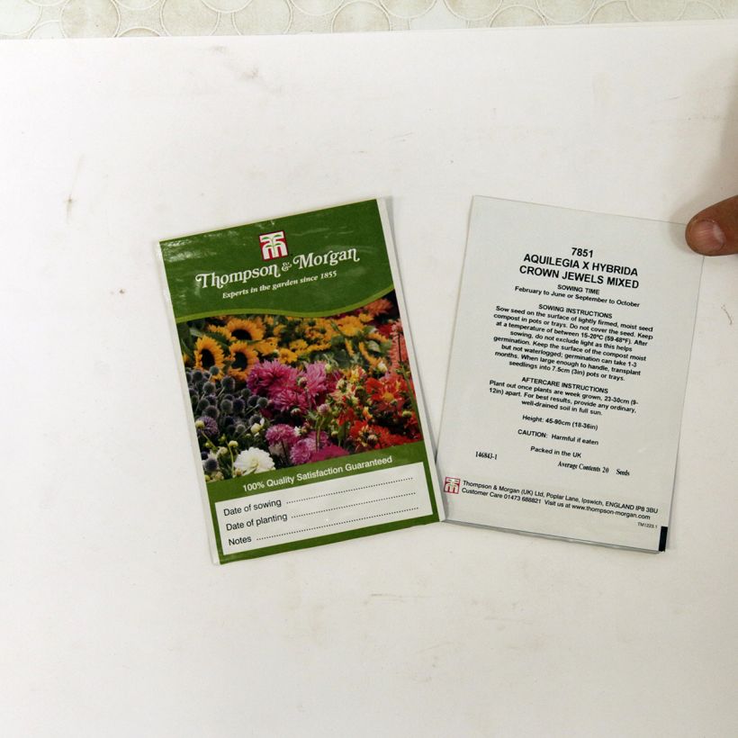 Beispiel eines Exemplars von Aquilegia Crown Jewels Mixed (Samen) - Garten-Akelei die Tüte mit 20 Samen ungefähr wie geliefert