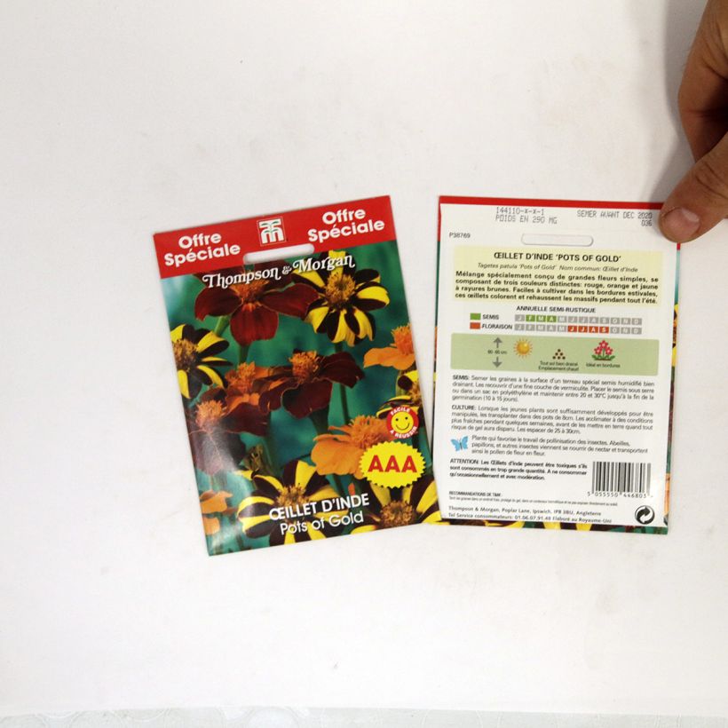 Example of Studentenblume Pots of Gold die Tüte mit 50 Samen ungefähr as you get