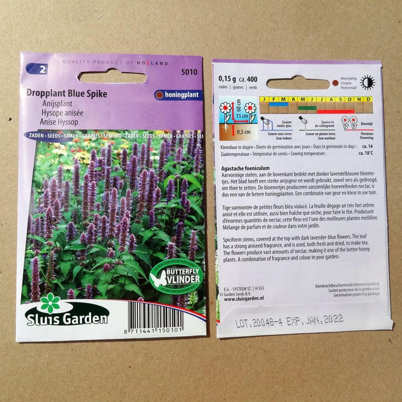 Beispiel eines Exemplars von Agastache foeniculum Blue Spike (Samen) - Duftnessel die Tüte mit Samen von 0.15 Gramm wie geliefert