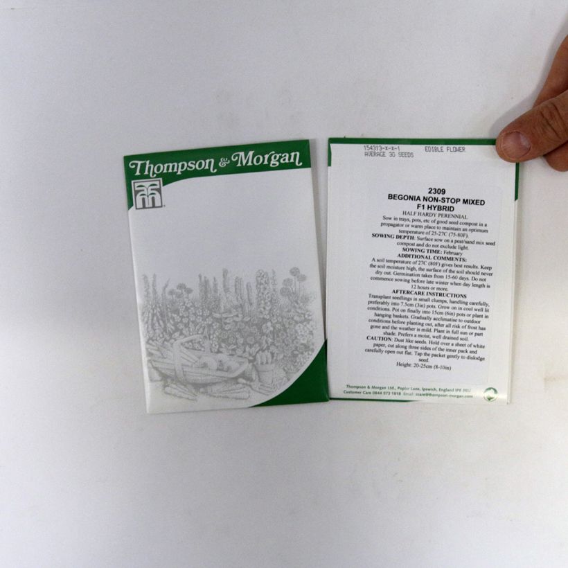 Beispiel eines Exemplars von Begonie Non-Stop Mixed F1 (Samen) - Begonia die Tüte mit 40 Samen ungefähr wie geliefert