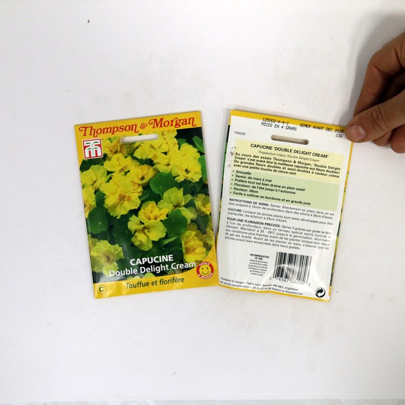 Beispiel eines Exemplars von Große Kapuzinerkresse Double Delight Cream die Tüte mit 3 Samen ungefähr wie geliefert