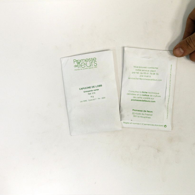 Beispiel eines Exemplars von Große Kapuzinerkresse Gleam die Tüte mit 35 Samen ungefähr (5g) wie geliefert