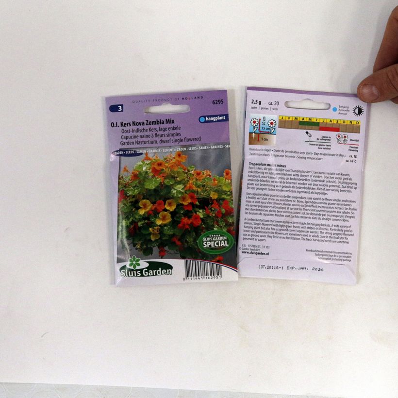 Beispiel eines Exemplars von Niedrige Kapuzinerkresse Nova Zembla die Tüte mit 20 Samen ungefähr wie geliefert