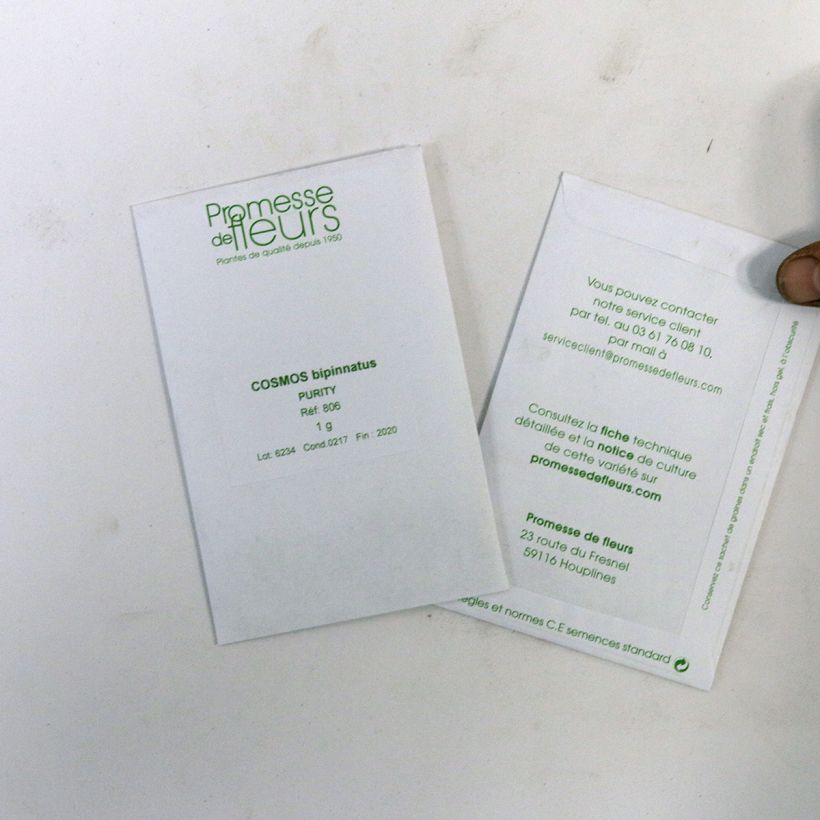 Example of Schmuckkörbchen Purity (Samen) - Cosmos die Tüte mit 150 Samen ungefähr (1g) as you get