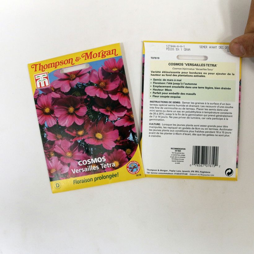 Example of Schmuckkörbchen Versailles Tetra (Samen) - Cosmos die Tüte mit 60 Samen ungefähr as you get