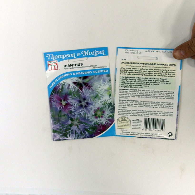 Beispiel eines Exemplars von Garten-Nelke Rainbow Loveliness Improved Mixed (Samen) - Dianthus die Tüte mit 30 Samen ungefähr wie geliefert