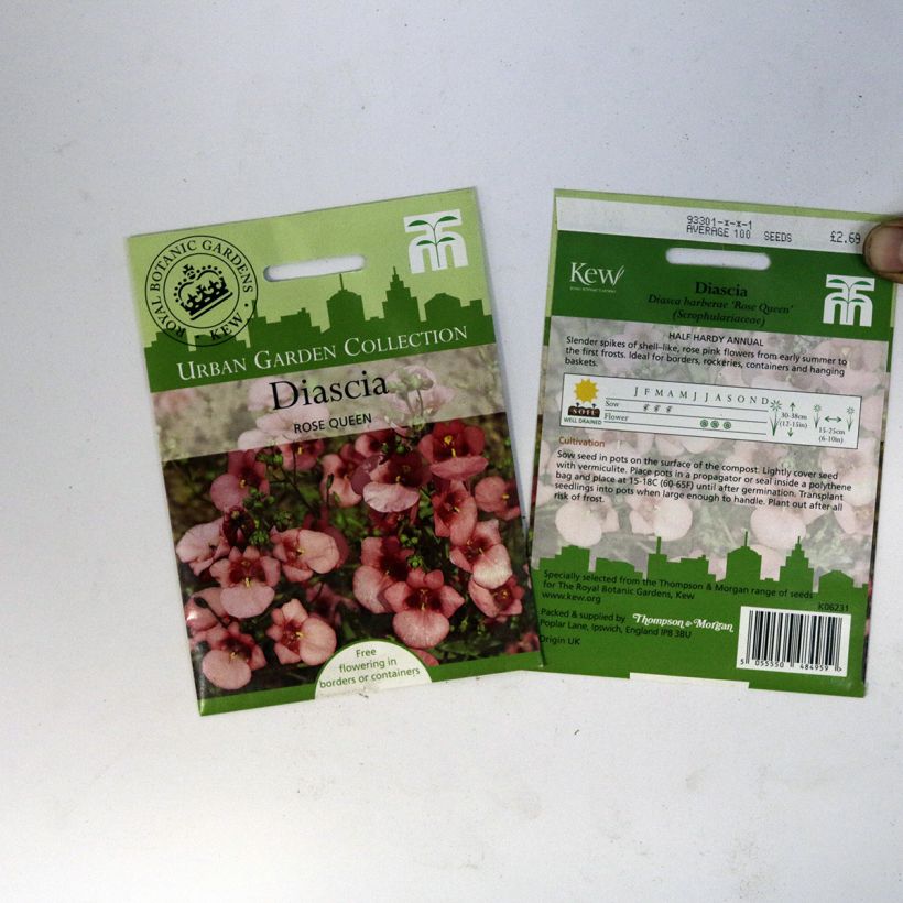 Beispiel eines Exemplars von Diascia Rose Queen (Samen) - Lachsblume die Tüte mit 550 Samen ungefähr (0,15g) wie geliefert