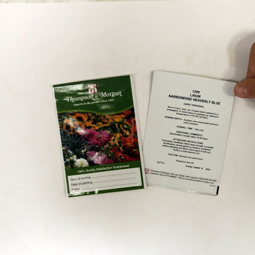 Beispiel eines Exemplars von Südfranzösischer Lein Heavenly Blue (Samen) - Linum narbonense die Tüte mit 30 Samen ungefähr wie geliefert