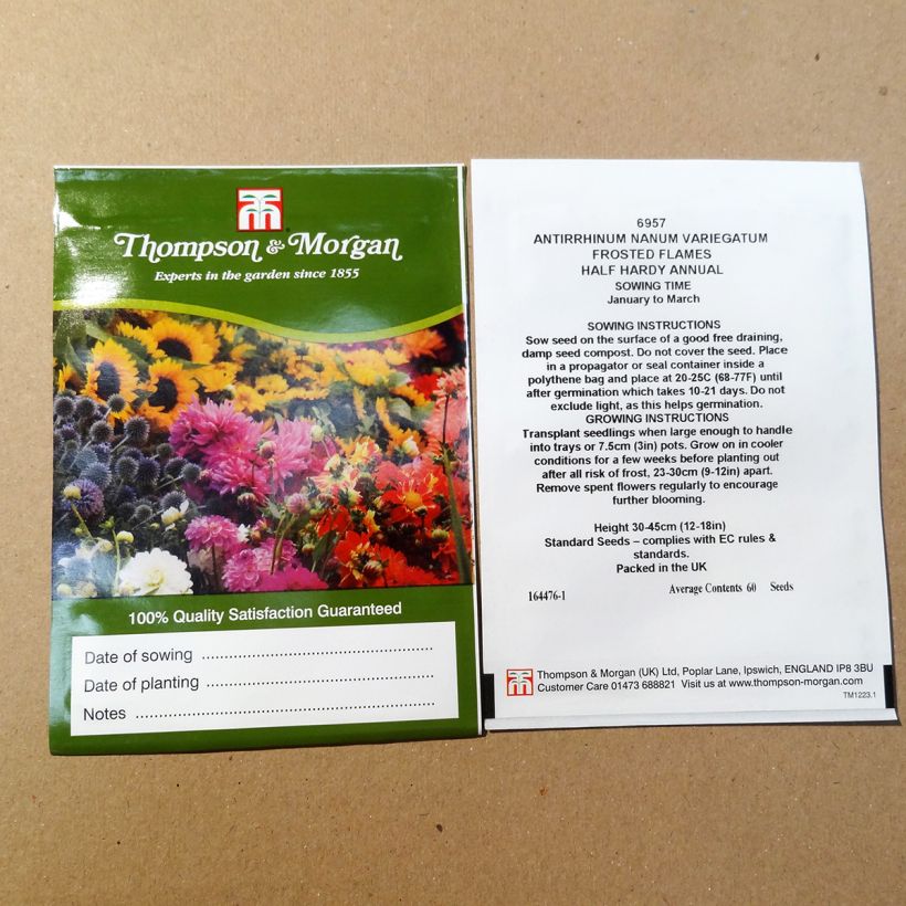 Beispiel eines Exemplars von Löwenmäulchen Frosted Flames (Samen) - Antirrhinum die Tüte mit 100 Samen ungefähr wie geliefert