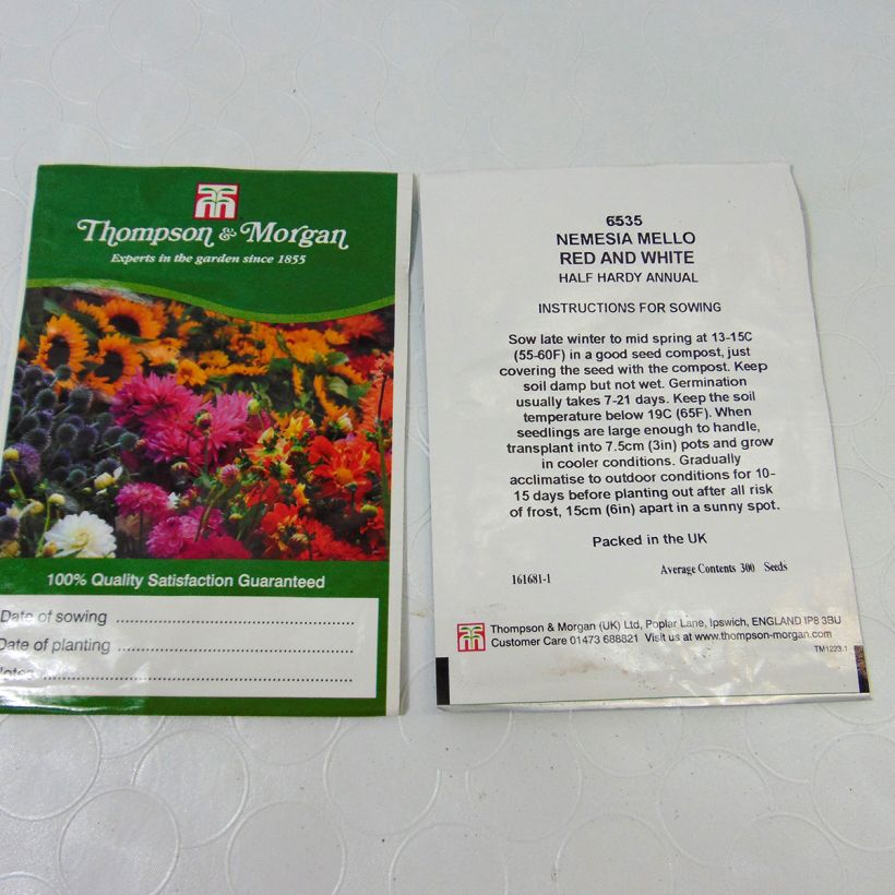 Beispiel eines Exemplars von Nemesia Mello Red & White (Samen) die Tüte mit 850 Samen ungefähr (0,2g) wie geliefert