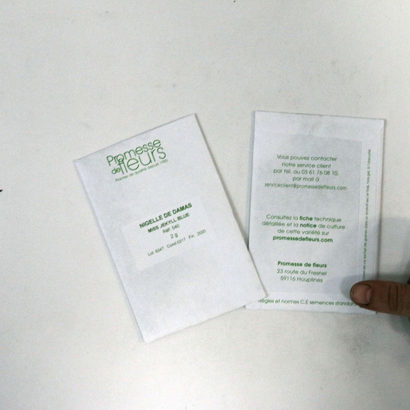 Example of Nigella damascena Miss Jekyll Blue (Samen) - Damaszener Schwarzkümmel die Tüte mit 600 Samen ungefähr (2g) as you get