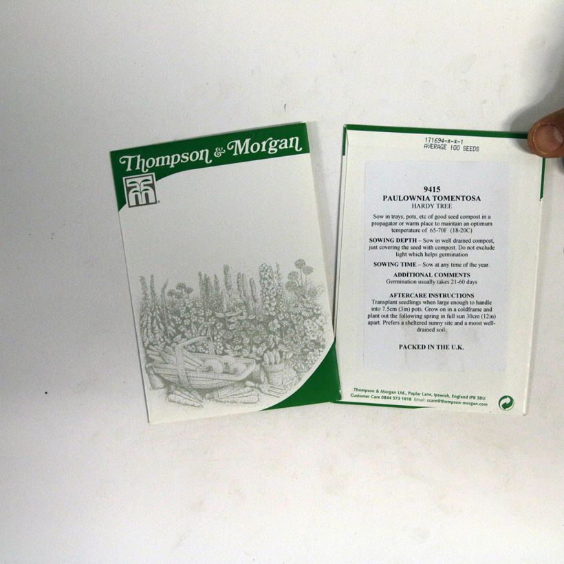 Example of Paulownia tomentosa (Samen) - Blauglockenbaum die Tüte mit 100 Samen ungefähr as you get