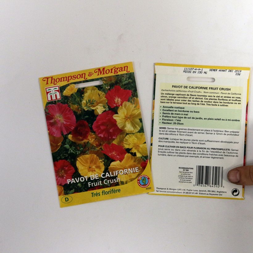 Beispiel eines Exemplars von Goldmohn Fruit Crush (Samen) - Eschscholzia californica die Tüte mit 150 Samen ungefähr wie geliefert