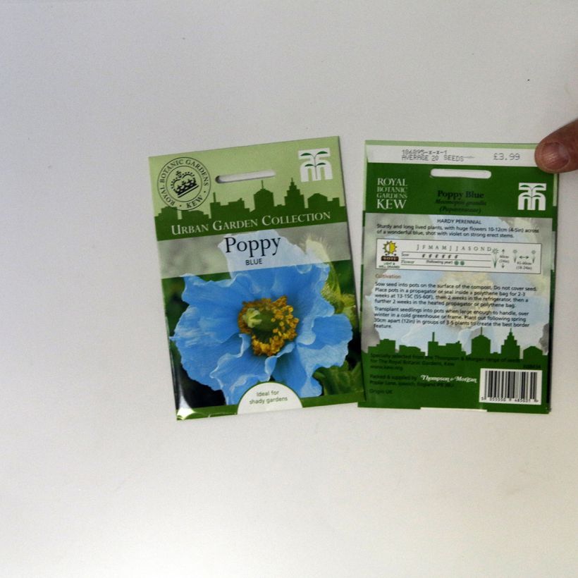 Example of Stiefmütterchen Chalon Supreme Wildberry Mixed die Tüte mit 20 Samen ungefähr as you get