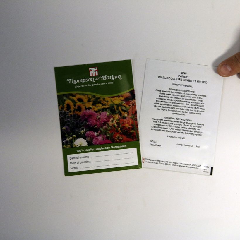 Beispiel eines Exemplars von Stiefmütterchen Water colours Mixed (Samen) die Tüte mit 30 Samen ungefähr wie geliefert