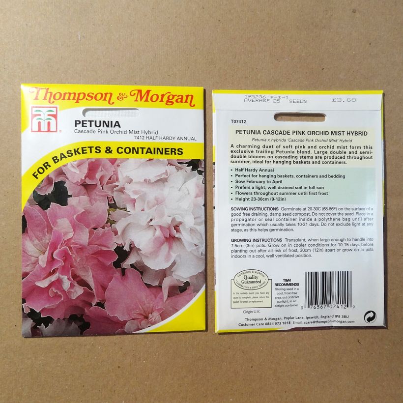 Example of Petunia Cascade Pink Orchid Mist (Samen) die Tüte mit 25 Samen ungefähr as you get