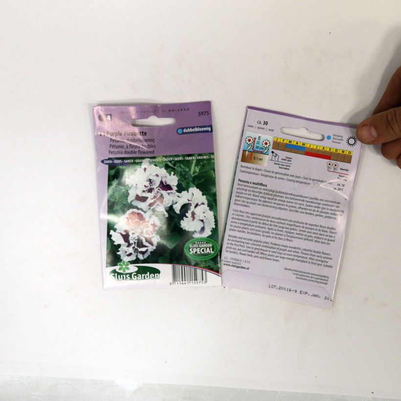 Beispiel eines Exemplars von Petunia F1 Purple Pirouette (Samen) die Tüte mit 30 Samen ungefähr wie geliefert