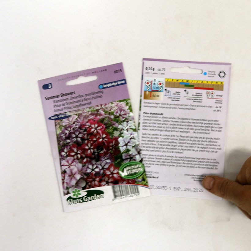 Beispiel eines Exemplars von Sommer-Phlox Summer Showers Mix (Samen) - Phlox die Tüte mit 75 Samen ungefähr wie geliefert