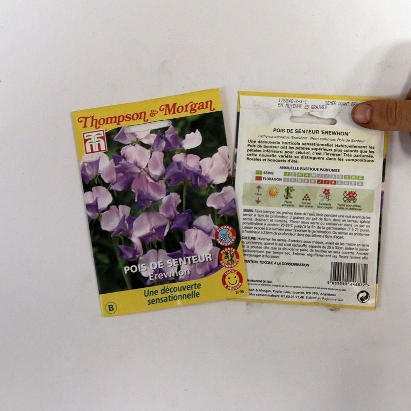 Beispiel eines Exemplars von Lathyrus odoratus Erewhon (Samen) - Gartenwicke die Tüte mit 25 Samen ungefähr (2,5g) wie geliefert