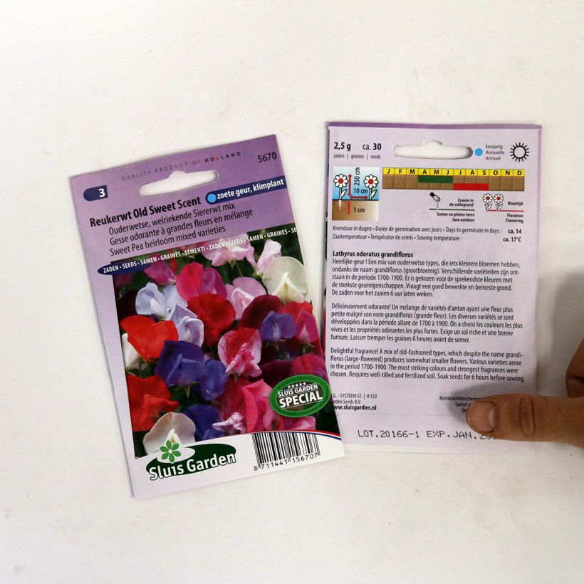 Beispiel eines Exemplars von Duftwicke Old Sweet Scent (Samen) - Lathyrus odoratus die Tüte mit 30 Samen ungefähr wie geliefert