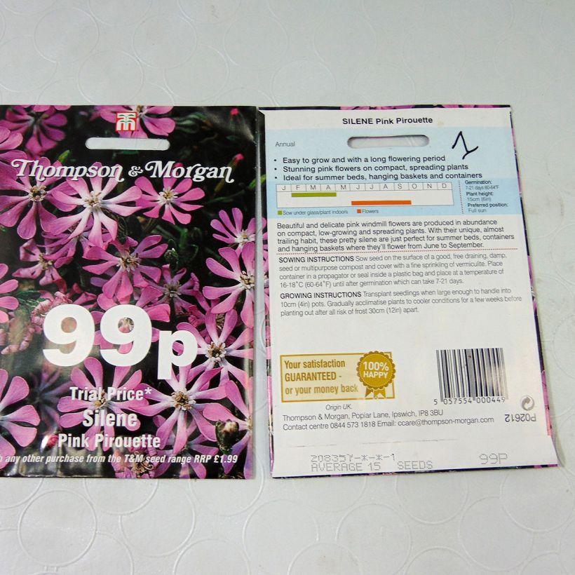 Beispiel eines Exemplars von Farbiges Leimkraut Pink Pirouette (Samen) - Silene colorata die Tüte mit 15 Samen ungefähr wie geliefert