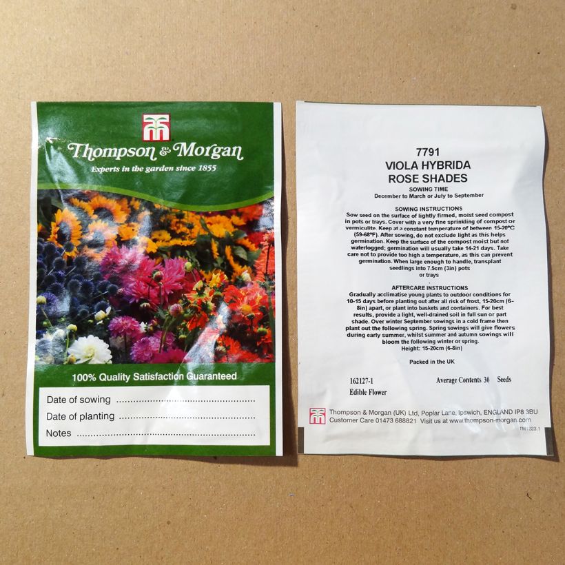 Example of Stiefmütterchen Rose Shades (Samen) die Tüte mit 30 Samen ungefähr as you get