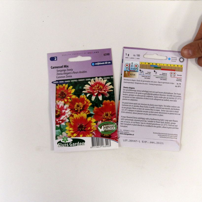 Beispiel eines Exemplars von Garten-Zinnie Carrousel Mix (Samen) die Tüte mit Samen von 1 Gramm wie geliefert