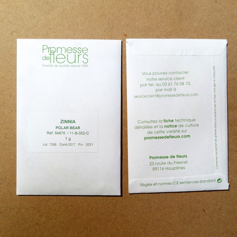 Beispiel eines Exemplars von Garten-Zinnie Polar Bear (Samen) die Tüte mit 100 Samen ungefähr (1g) wie geliefert