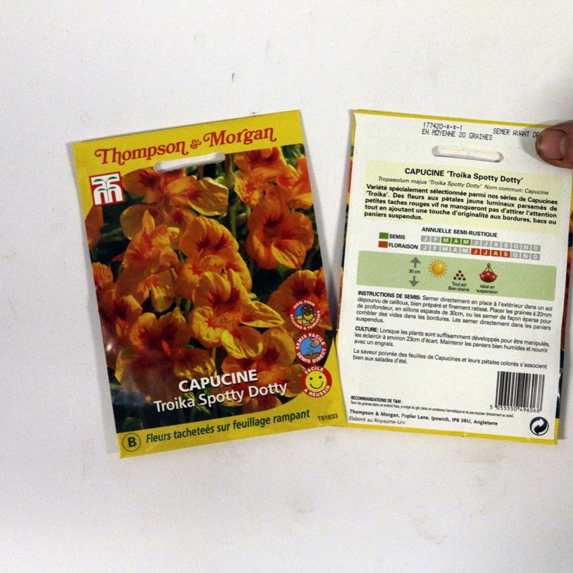 Beispiel eines Exemplars von Große Kapuzinerkresse Troika Spotty Dotty die Tüte mit 20 Samen ungefähr wie geliefert