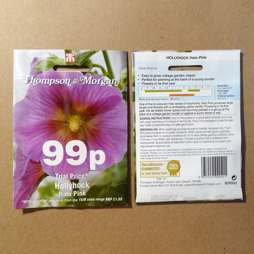 Beispiel eines Exemplars von Alcea rosea Halo Pink (Samen) - Gewöhnliche Stockrose die Tüte mit 25 Samen ungefähr wie geliefert