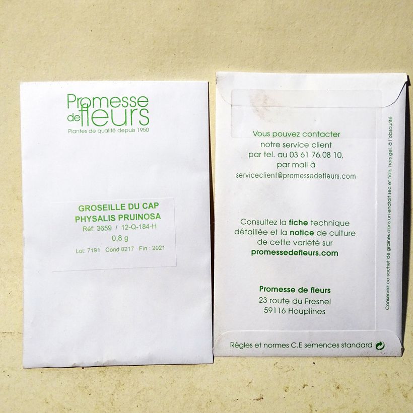 Example of Erdkirsche Preciosa - Physalis pruinosa die Tüte mit 700 Samen ungefähr (0,8g) as you get