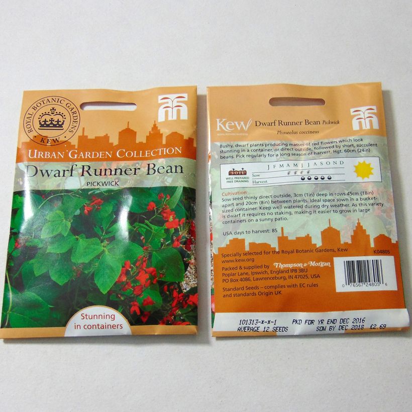 Example of Feuerbohne Pickwick die Tüte mit 12 Samen ungefähr as you get