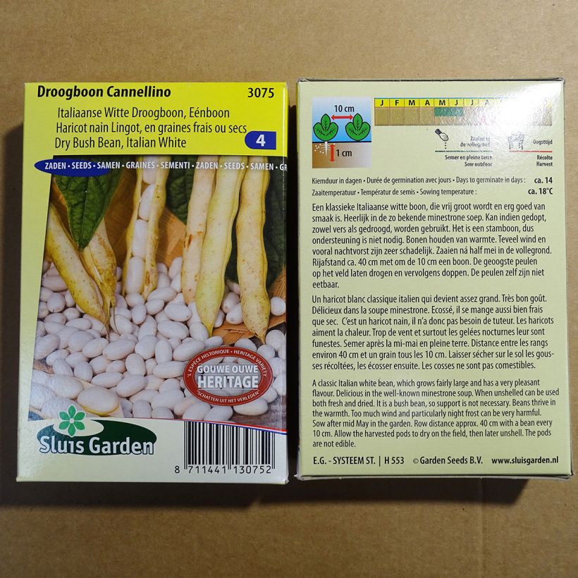 Beispiel eines Exemplars von Zwergbohne Cannellino die Tüte mit 200 Samen ungefähr (100g) wie geliefert