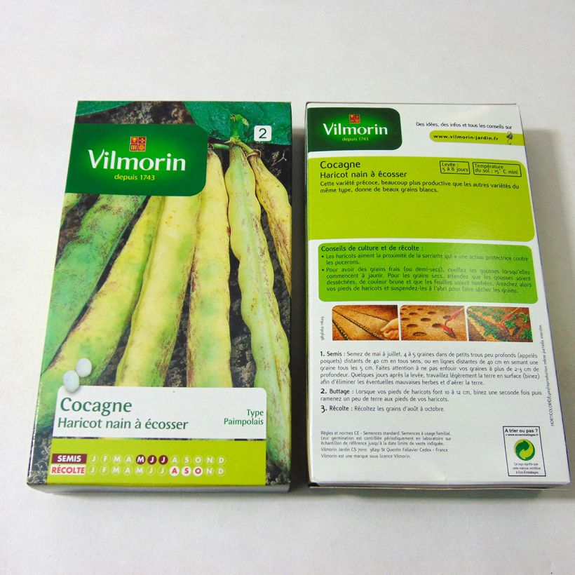 Beispiel eines Exemplars von Zwergbohne Cocagne - Vilmorin die Tüte mit 400 Samen ungefähr (200g) wie geliefert
