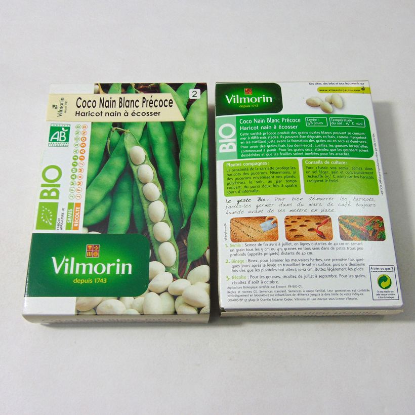Example of Zwergbohne Coco Bio - Vilmorin die Tüte mit 200 Samen ungefähr (100g) as you get