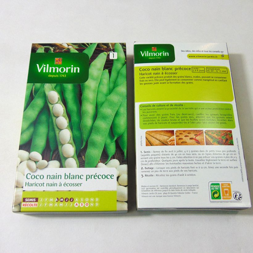 Beispiel eines Exemplars von Garten-Bohne Coco Blanc - Vilmorin die Tüte mit 400 Samen ungefähr (200g) wie geliefert