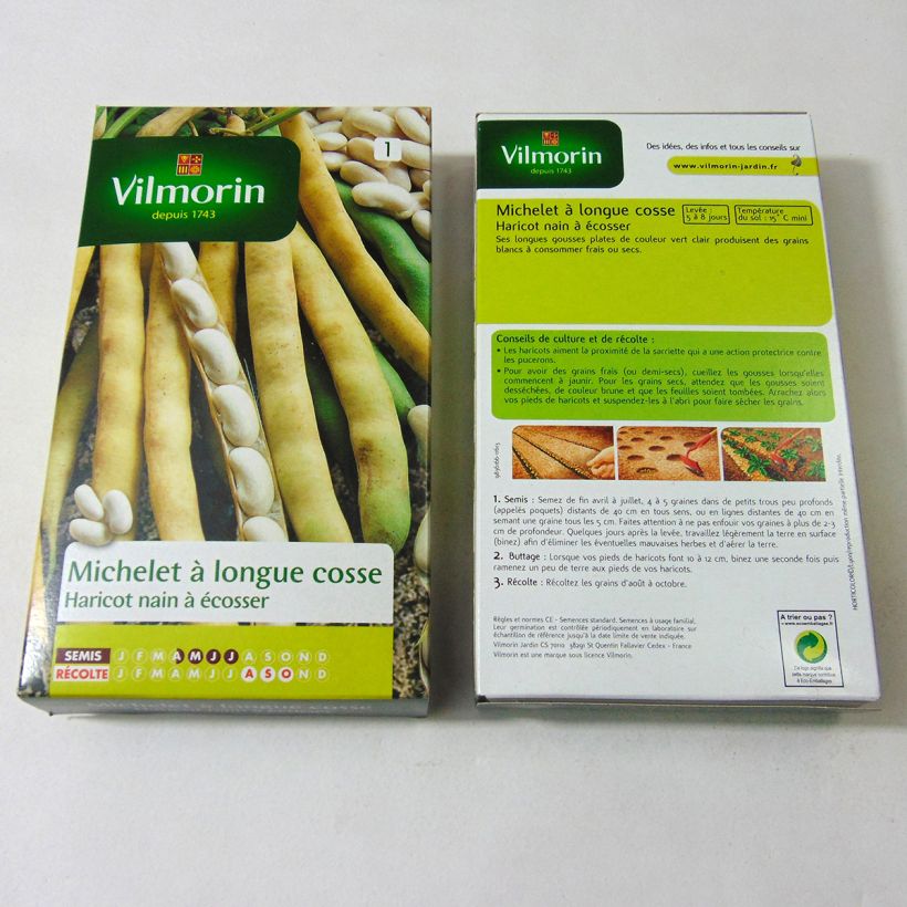 Beispiel eines Exemplars von Zwergbohne Michelet longue cosse - Vilmorin die Tüte mit 400 Samen ungefähr (200g) wie geliefert