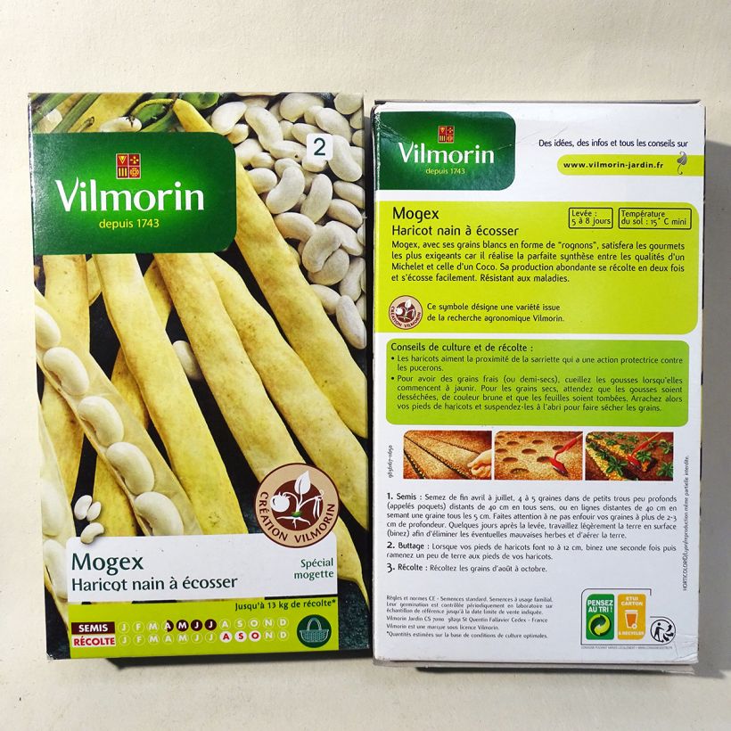 Example of Zwergbohne Mogex - Vilmorin die Tüte mit 75 Samen ungefähr (90g) as you get