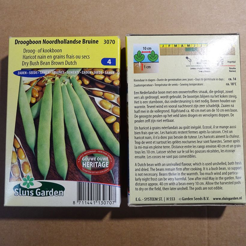 Example of Zwergbohne Noordhollandse Bruine die Tüte mit 200 Samen ungefähr (100g) as you get