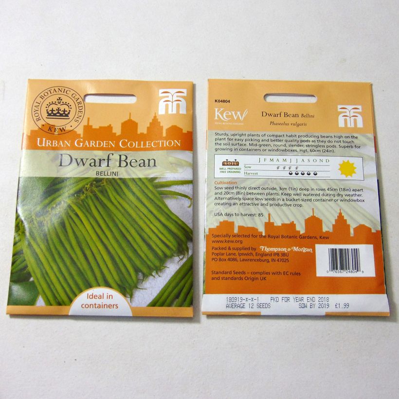 Example of Zwergbohne Bellini die Tüte mit 12 Samen ungefähr as you get